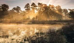 Een spectaculaire zonsopkomst bij de Ravenvennen in Schandelo -